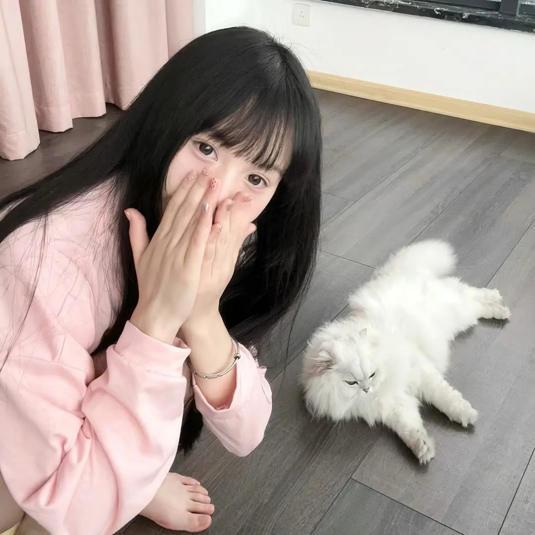 南游记之闹三界